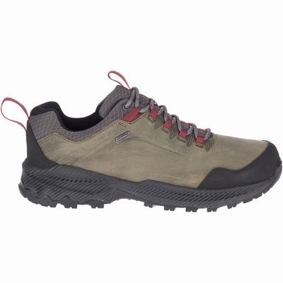 Merrell Forestbound Waterproof Vandringsskor Herr Grå (SE863142)